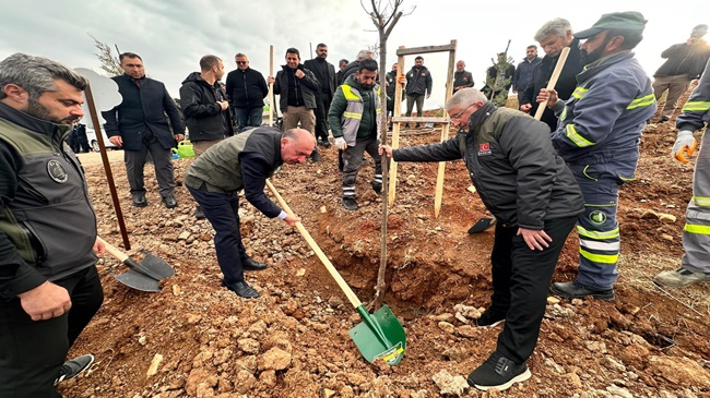 NADIK ŞEHİR ORMANI’NDA İLK AĞAÇLAR TOPRAKLA BULUŞTU